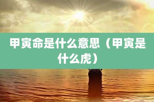 甲寅命是什么意思（甲寅是什么虎）