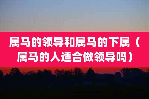 属马的领导和属马的下属（属马的人适合做领导吗）