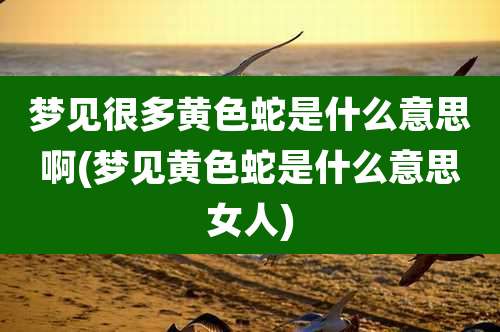 梦见很多黄色蛇是什么意思啊(梦见黄色蛇是什么意思女人)