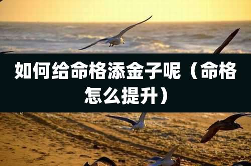 如何给命格添金子呢（命格怎么提升）