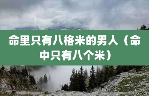 命里只有八格米的男人（命中只有八个米）