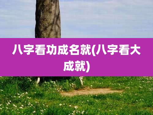 八字看功成名就(八字看大成就)