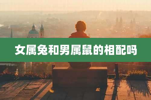 女属兔和男属鼠的相配吗