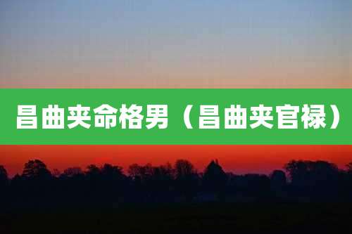 昌曲夹命格男（昌曲夹官禄）