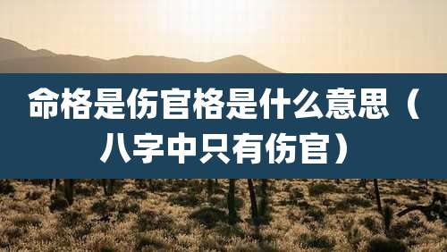 命格是伤官格是什么意思（八字中只有伤官）
