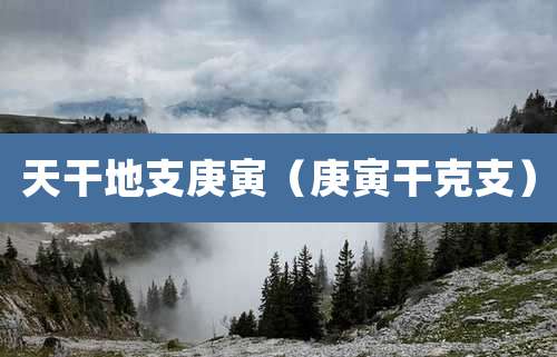 天干地支庚寅（庚寅干克支）