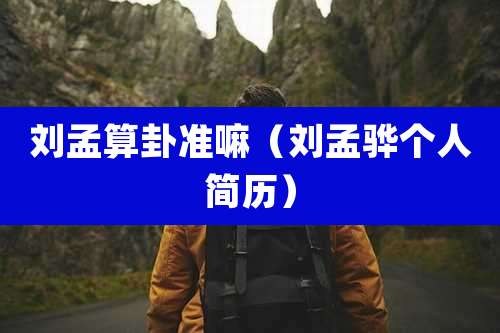 刘孟算卦准嘛（刘孟骅个人简历）