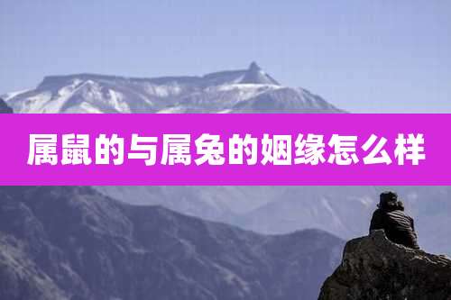 属鼠的与属兔的姻缘怎么样