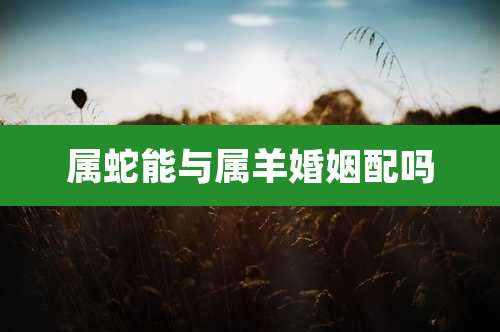 属蛇能与属羊婚姻配吗