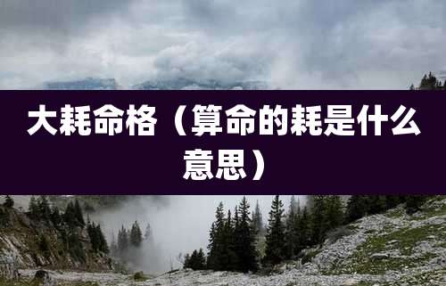 大耗命格（算命的耗是什么意思）