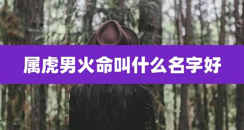 属虎男火命叫什么名字好