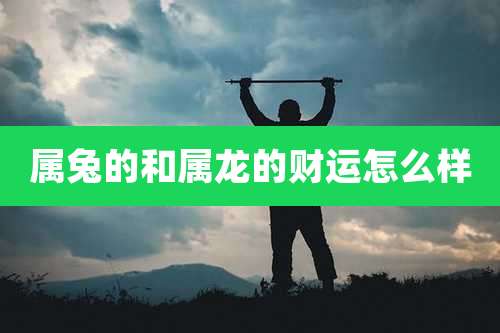 属兔的和属龙的财运怎么样