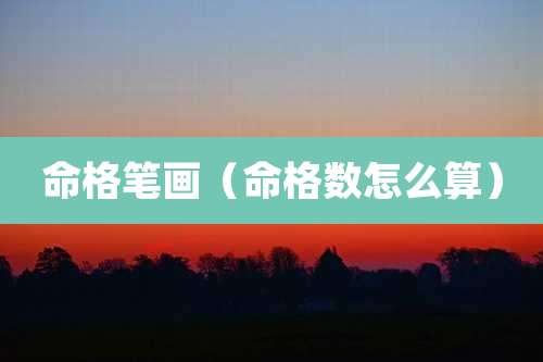 命格笔画（命格数怎么算）