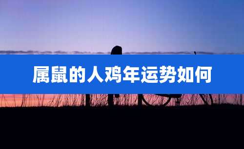 属鼠的人鸡年运势如何