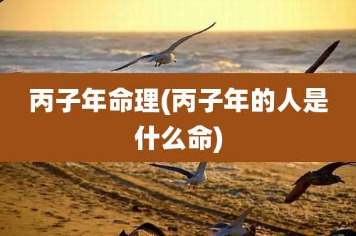 丙子年命理(丙子年的人是什么命)