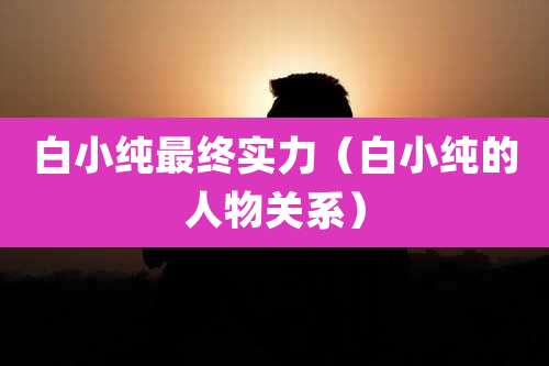 白小纯最终实力（白小纯的人物关系）