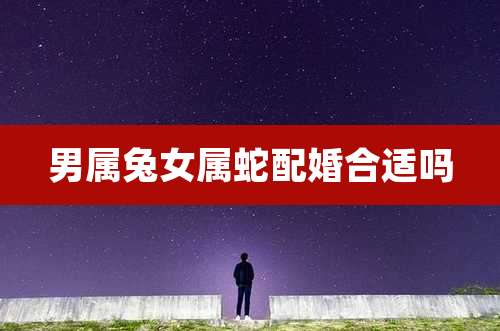男属兔女属蛇配婚合适吗