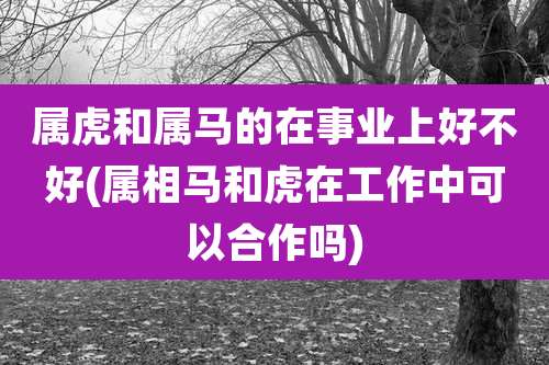 属虎和属马的在事业上好不好(属相马和虎在工作中可以合作吗)