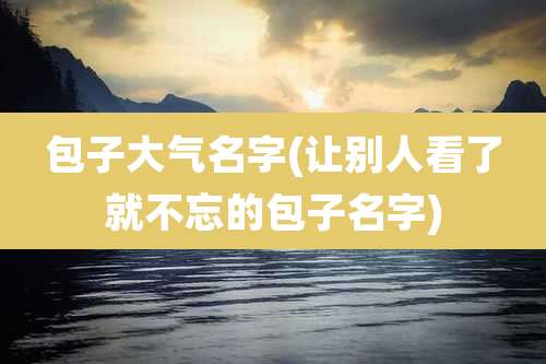 包子大气名字(让别人看了就不忘的包子名字)