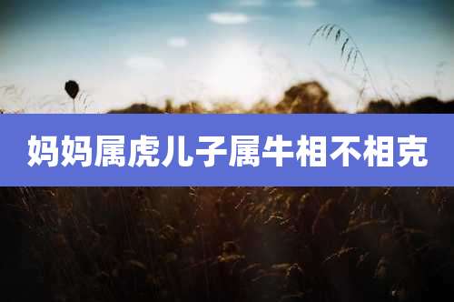 妈妈属虎儿子属牛相不相克