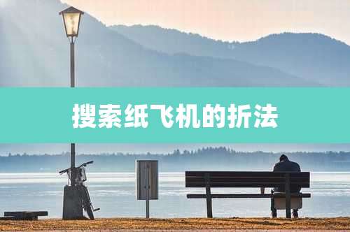 搜索纸飞机的折法