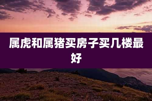 属虎和属猪买房子买几楼最好