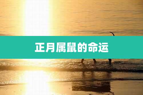 正月属鼠的命运