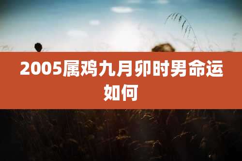 2005属鸡九月卯时男命运如何