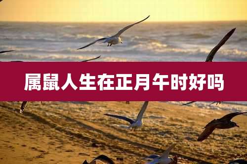 属鼠人生在正月午时好吗