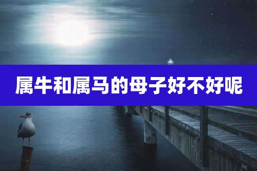 属牛和属马的母子好不好呢
