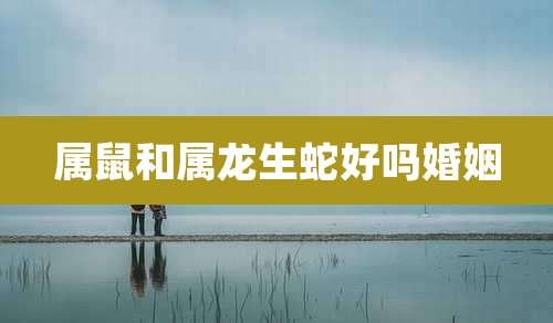 属鼠和属龙生蛇好吗婚姻