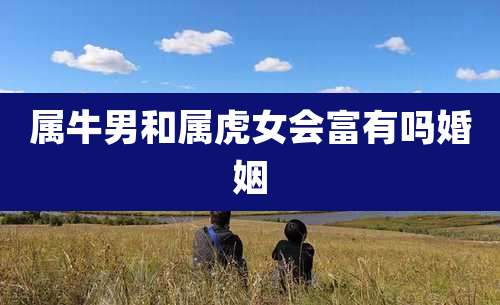 属牛男和属虎女会富有吗婚姻