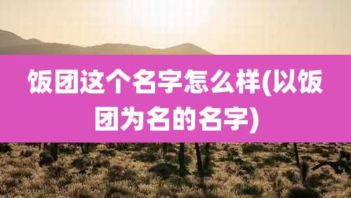饭团这个名字怎么样(以饭团为名的名字)