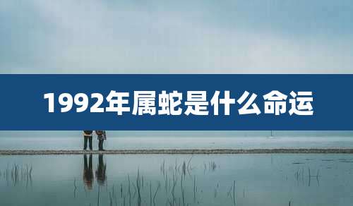 1992年属蛇是什么命运