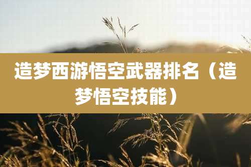 造梦西游悟空武器排名（造梦悟空技能）