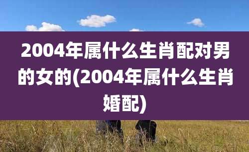 2004年属什么生肖配对男的女的(2004年属什么生肖婚配)