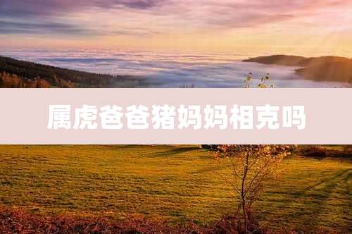 属虎爸爸猪妈妈相克吗