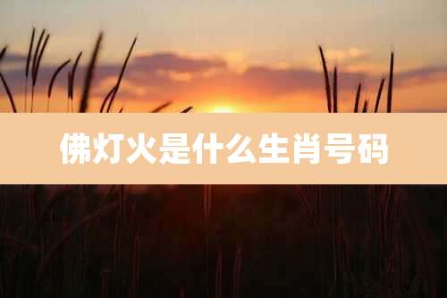 佛灯火是什么生肖号码