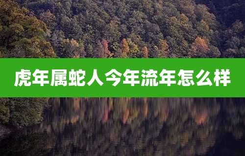 虎年属蛇人今年流年怎么样