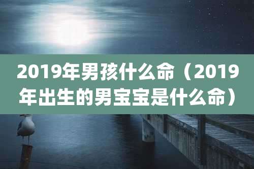 2019年男孩什么命（2019年出生的男宝宝是什么命）