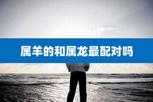 属羊的和属龙最配对吗