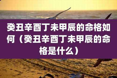 癸丑辛酉丁未甲辰的命格如何（癸丑辛酉丁未甲辰的命格是什么）