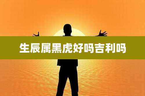 生辰属黑虎好吗吉利吗