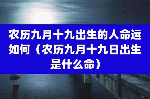 农历九月十九出生的人命运如何（农历九月十九日出生是什么命）