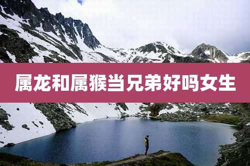属龙和属猴当兄弟好吗女生