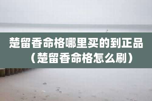 楚留香命格哪里买的到正品（楚留香命格怎么刷）