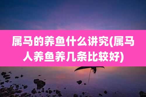 属马的养鱼什么讲究(属马人养鱼养几条比较好)