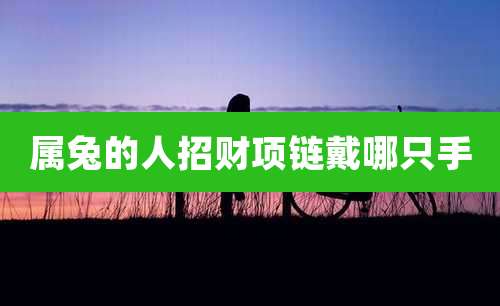 属兔的人招财项链戴哪只手