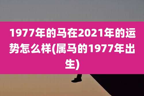 1977年的马在2021年的运势怎么样(属马的1977年出生)