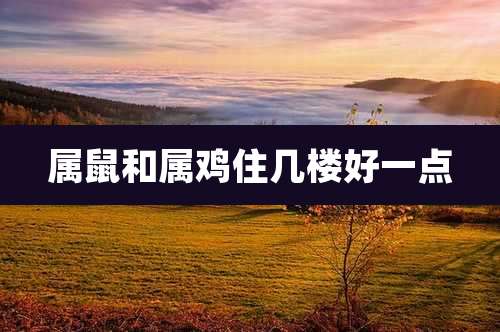 属鼠和属鸡住几楼好一点